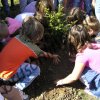 Dečija nedelja 2011